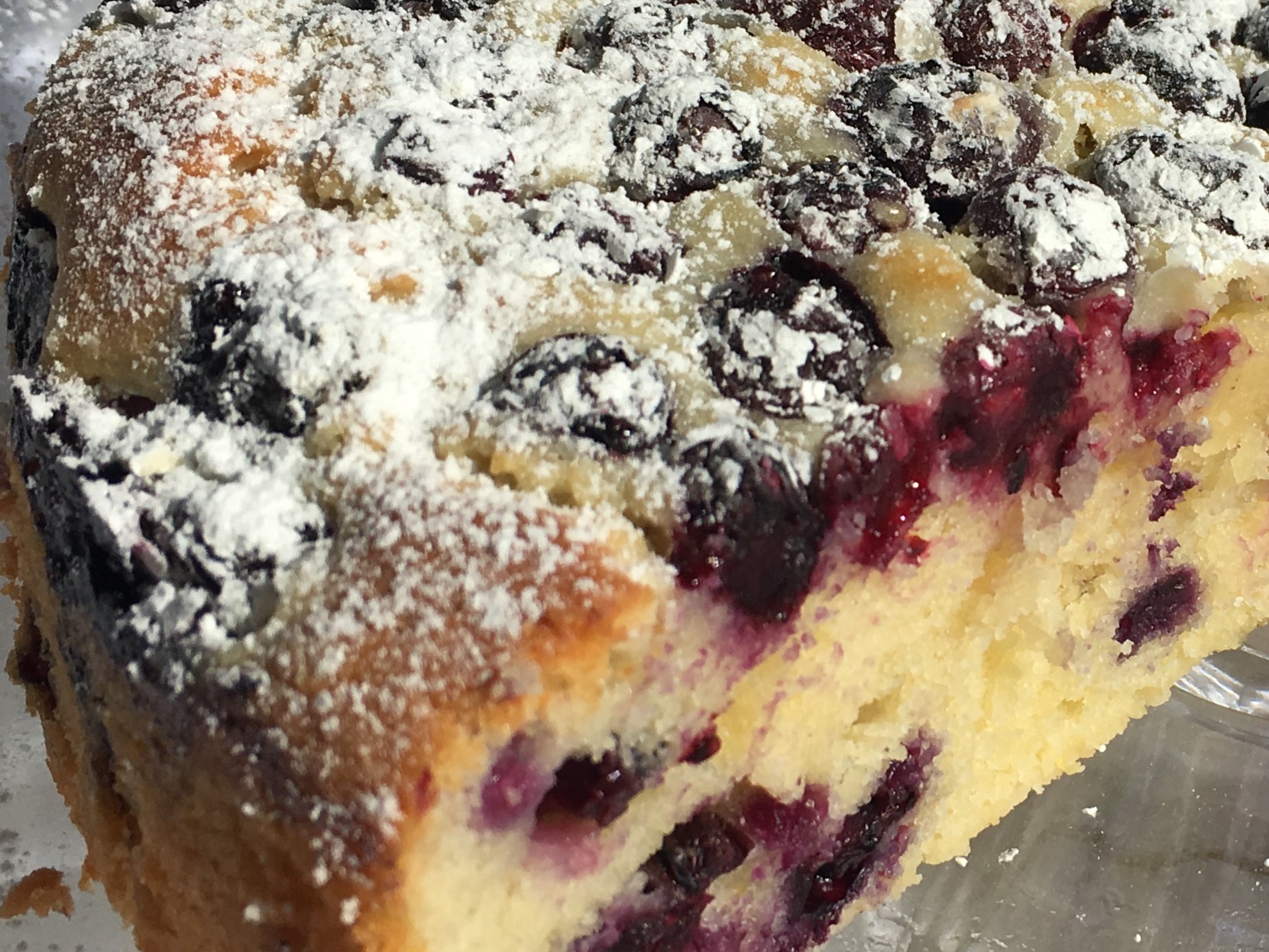 Homemade Blueberry cake with powdered sugar on top